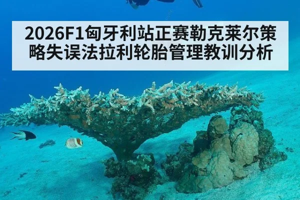 2026F1匈牙利站正赛勒克莱尔策略失误法拉利轮胎管理教训分析