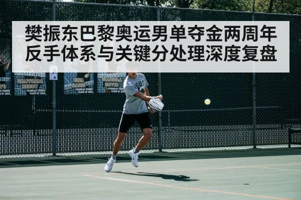 樊振东巴黎奥运男单夺金两周年 反手体系与关键分处理深度复盘